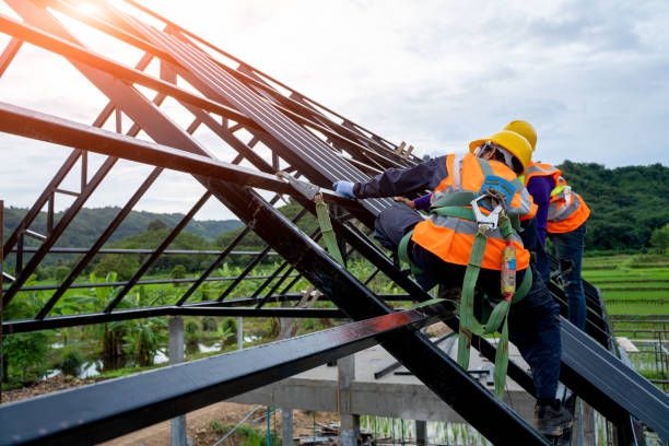 Roof Gutter Cleaning in Doylestown, OH